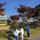 반구어린이집 놀이터 이미지