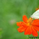 시장미용실 이미지