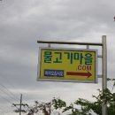 마을물고기 이미지