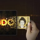 한국지엠거창중앙바로서비스 | 한국은행 CBDC 실험 &#39;프로젝트 한강&#39; 후기: 하루 100원 사용액, 그 속사정 파헤치기