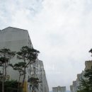 진해공인중개사 사무소 이미지