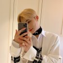 디비 이미지
