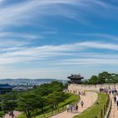 문화관광 코스 | 서울도보해설관광 청와대 앞 코스 후기와 예약 꿀팁