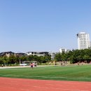 관저체육공원운동장 축구장 이미지