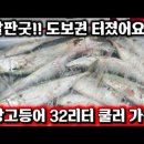 방파제 시장 고등어 이미지