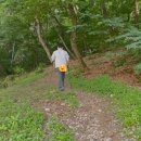 트렉스타 | 경량 등산스틱 트렉스타 후기! 가볍고 튼튼한 등산필수템