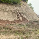 벽진농장 이미지