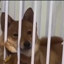 궁리 이미지
