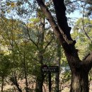 한아름 사슴 농장 이미지