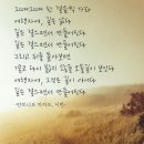 서울누원초등학교 | 26년 5월 이야기, 8일은 라나스 덜꿩나무 이름을 겨우 기억해 냈는데 정명이 털설구화 '라나스'였으니...