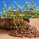 온기면옥 이미지