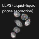 주식회사 토모 이미지