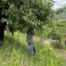 부계면 행정복지센터 이미지