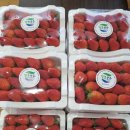 대바위농장 이미지