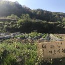 양지-2734 이미지