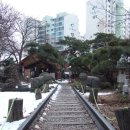 대인한약방 - 창원시 마산회원구 합성서4길 5 | 대인한약방
