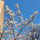 둔산이마트 이미지