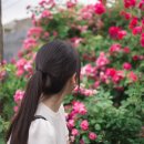 장미도서관 이미지