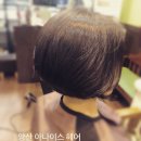아나이스헤어 이미지