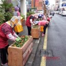 천지동 아랑조을거리 이미지