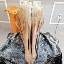 스텔라헤어 이미지