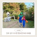 성주슈퍼 | 경북 성주 아이랑 할로윈카페 리베볼 예약방법, 가격, 후기