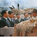 박정희로-31 이미지