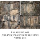 코리아둘레길30차(해파랑길 31 32-1코스)삼척구간 이미지