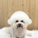 몽앤뭉 이미지