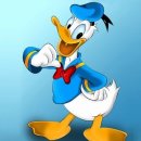 오리궁뎅이 이미지