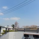 345헤어살롱 수원정자점 이미지