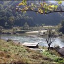 황새마을 이미지