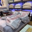 라헨느주얼리 | [예단투어] 박홍근홈패션 효성주얼리시티점 - 시부모님 이불 상담