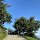 백양산막걸리 | 부산 백양산 등산 코스 추천! 등린이도 가능한 뷰맛집⛰️