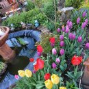 상하이한의원 이미지