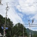 의병장 안승우묘 이미지