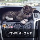 옥토끼목장 이미지