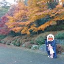 목재문화체험장(체험실) 이미지