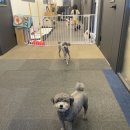 나비야호텔 이미지