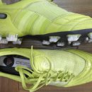 마이다스레전드 이미지