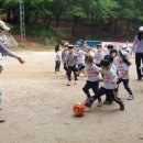 파주시청어린이집 이미지