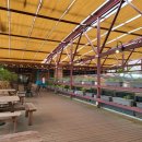 브릭루즈 이미지