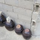 빈이네민박 이미지