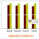 김장 배추절이기 배추절이는방법과 배추절이는시간 이미지