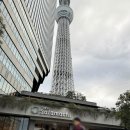 더큰스카이 피시타운 | 도쿄 스카이트리 전망대 다녀온 후기｜입장권, 시간, 야경 전망 시간대 추천