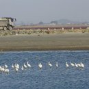 산성 태양광발전소 이미지