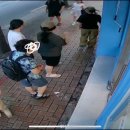 엘리시안퍼피 이미지