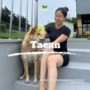태안 애견동반 숙소 더마루애견펜션, 잊지 못 할 첫 수영장