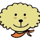 스마일퍼피 강아지분양 동탄점 | 퍼피스토리에서 비숑책임분양 동탄강아지분양 했어요