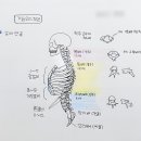 실용미술해부학 수강후기 + 과제 모음